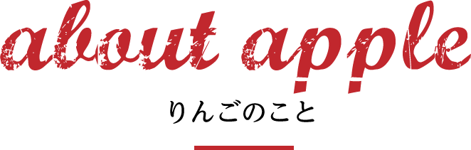 About apple りんごのこと