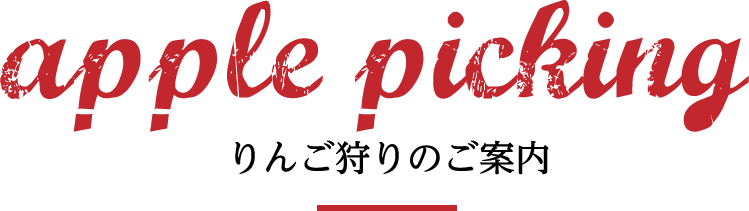 Apple picking りんご狩りのご案内